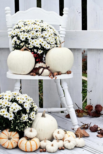 WhitePumpkins