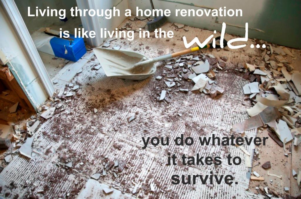renovation living in wild