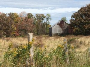 barn2 1024x768 300x225 1